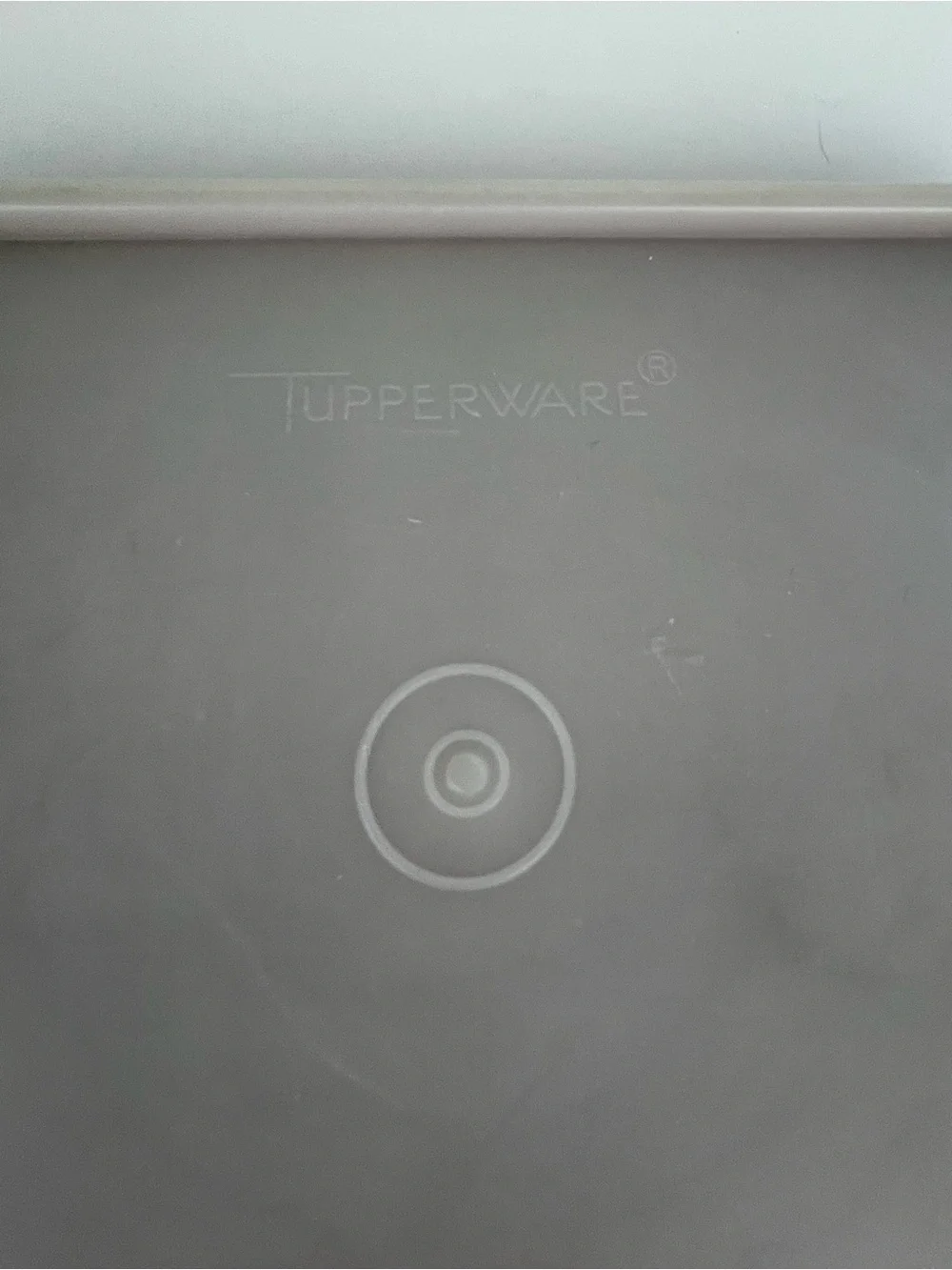 Tupperware Hot Dog and Deli Meat Keeper Marinator